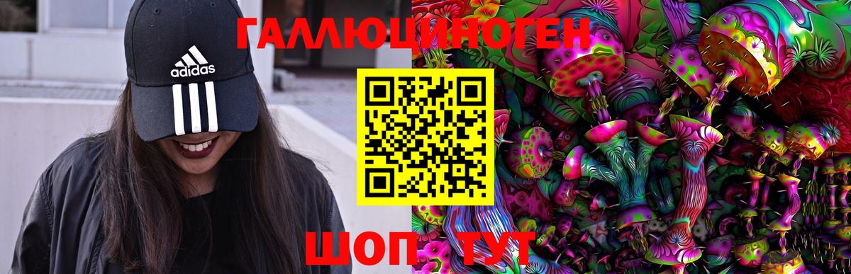 Псилоцибиновые грибы ЛСД Дмитров